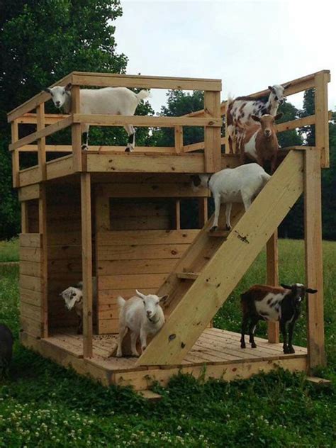 How To Make Awesome Goat House And Playground | Housetodecor.com