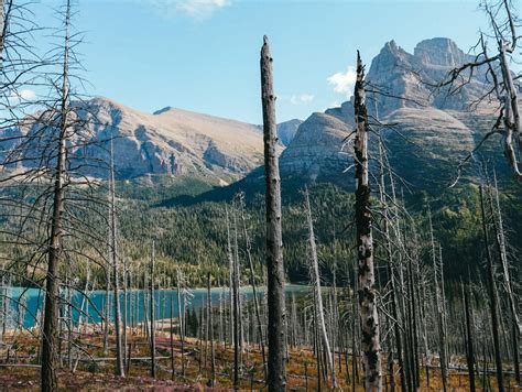 Hiking to Virginia Falls – Glacier National Park - Compasses & Quests