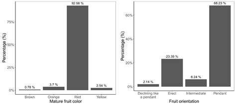 Agronomy Free Full Text Characterization Of Diverse Pepper