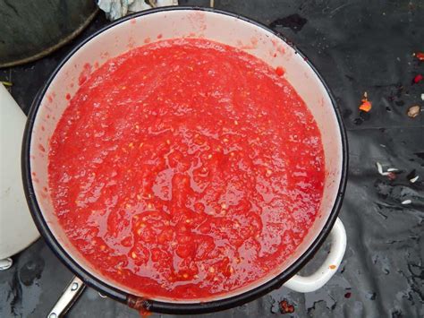 15 Best Substitutes For Tomato Sauce Substitute Cooking