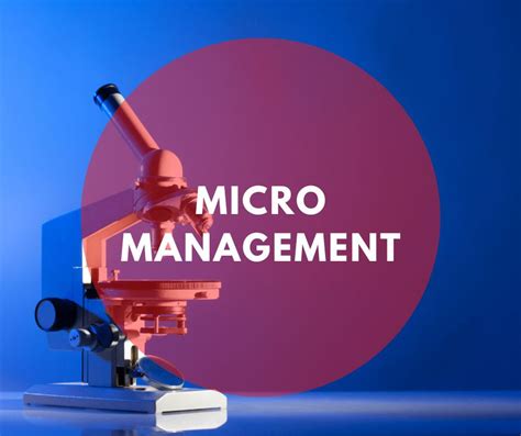 De Nadelen Van Micromanagement Pmc Roosendaal