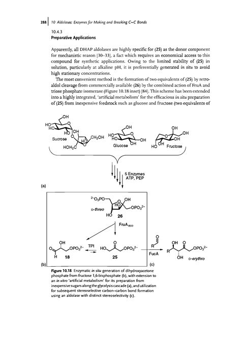 Dihydroxyacetone Phosphate Glycolysis Big Chemical Encyclopedia