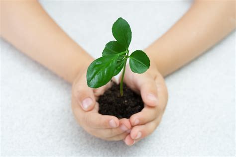 Bbc Bbc Learning Parents Blog Gardening With Kids