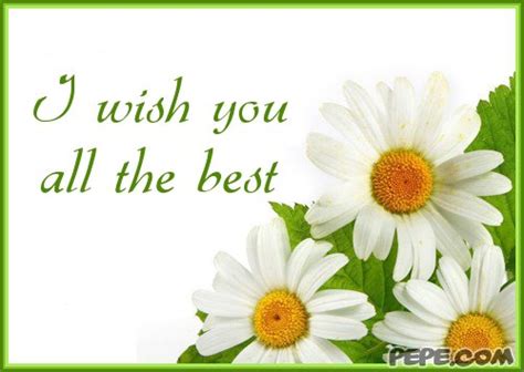 Wish You All The Best Quotes Quotesgram