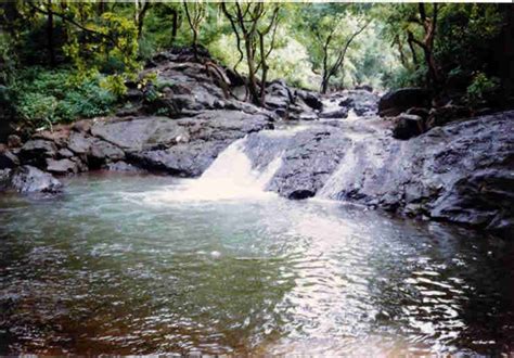 Offbeat Outdoors Trek To Tungareshwar Waterfalls Streams On Sunday