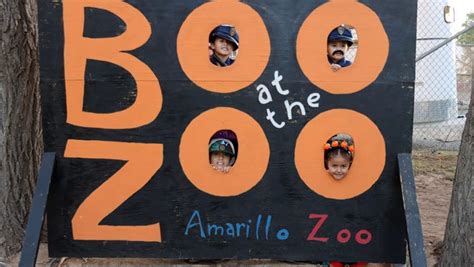 Amarillo Zoo hosts annual Boo at the Zoo festivities for families