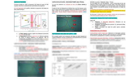 Solution Er Periodo De Partol Normal Y Patologico Page Studypool