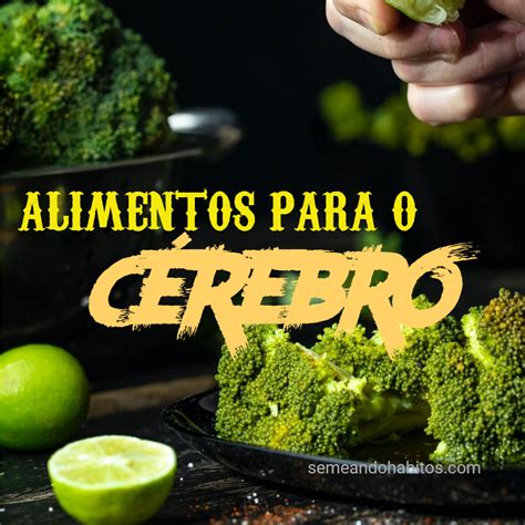 10 Alimentos que ajudam turbinar o cérebro SEMEANDO HÁBITOS