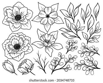 Hand Drawn Flower Sketch Line Art Stock Vector Royalty Free