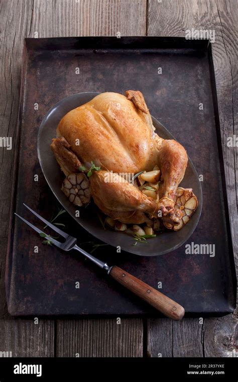 Roast chicken with garlic Stock Photo - Alamy