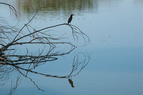 Lago Popalillo Balancán Tabasco Esteban Dupinet Flickr