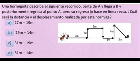 Una Hormiguita Describe El Siguiente Recorrido Parte De A Y Llega A B