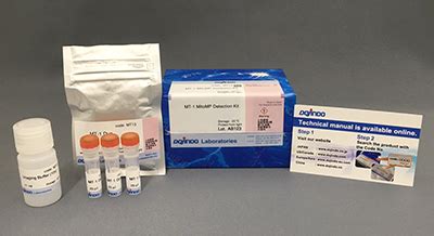 Ros Ros Assay Kit Photo Oxidation Resistant Dcfh Da