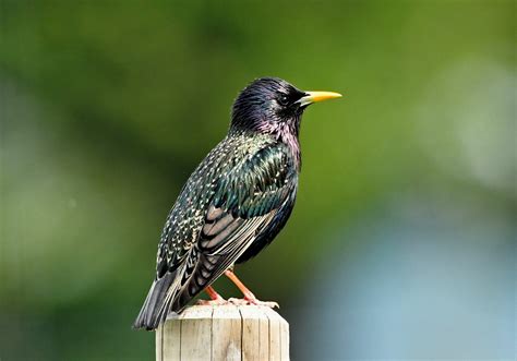 Naturfotografie Andreas Sch Fer Meine Fototour Copyright Andreas