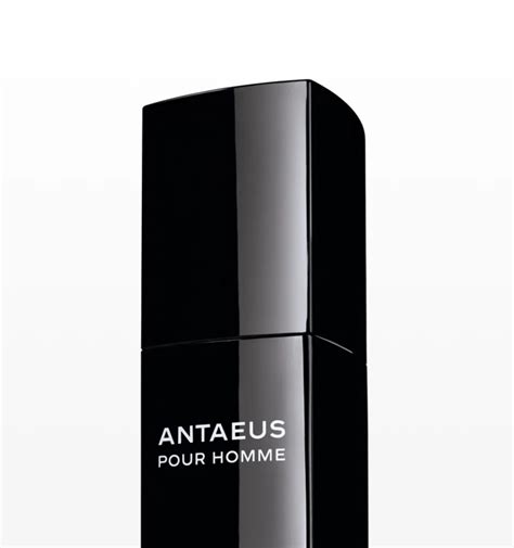 Introducir 36+ imagen chanel antaeus perfume - Abzlocal.mx