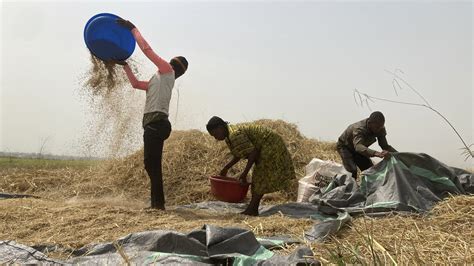 Mindestens 51 Tote nach Anschlägen auf Dorf in Nigeria