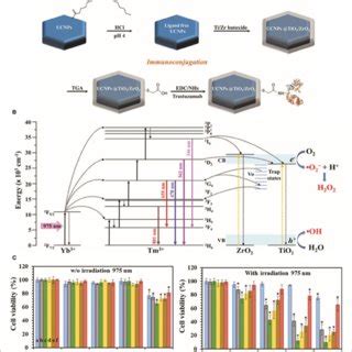 Schematic Illustration Of The Synthesis Of The NaYF 4 Yb Tm TiO 2