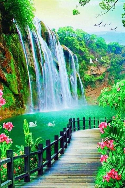 Pin By Shubham Kumar On Pins By You Waterfall Scenery Nature