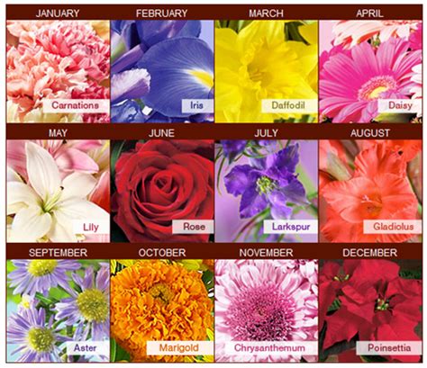 Birth Month Flower Chart For Seeds As Favors Birth Flowers Flower