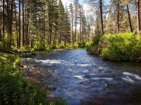 19 Greatest Hikes Near Bend Oregon - Mike & Laura Travel