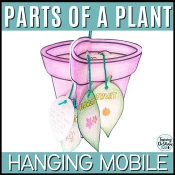 Parts of a Plant Mobile Activity - Classful