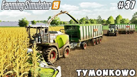 Harvesting Corn Silage Tymonkowo Farm Farming Simulator