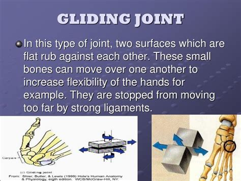 Diagram Of A Gliding Joint