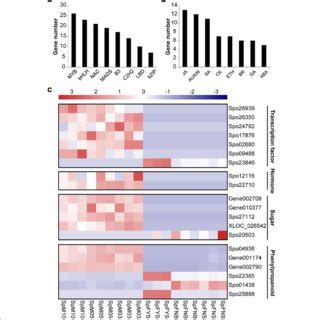 Expression Pattern Clustering Analysis Of Sex Biased Genes Residing In