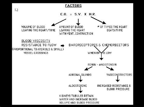 Cardiac Output When The Heart Contracts Cardiac Vocabulary