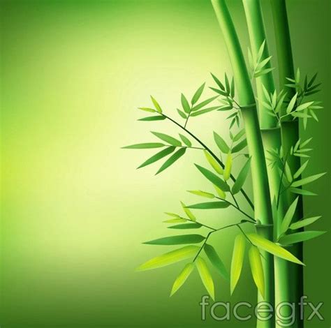 Green Leaves Of Bamboo Vector Green Nature Wallpaper Wallpaper Nature Flowers Flower