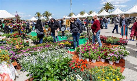 Al Via La Esima Edizione Della Mostra Del Fiore Florviva