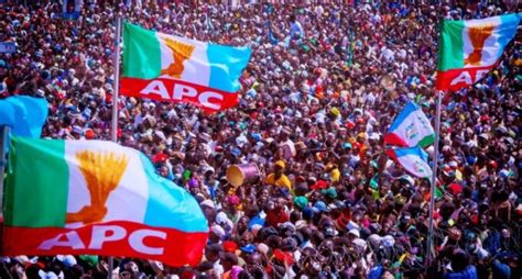 Full List Apc Wins Lagos Senatorial Elections 20 Of 24 House Of Reps