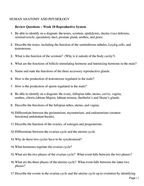 Biol Review Questions Wk Reproductive System Human Anatomy And