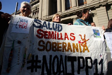 Parlamentarios piden postergar votación del TPP11 hasta conocer