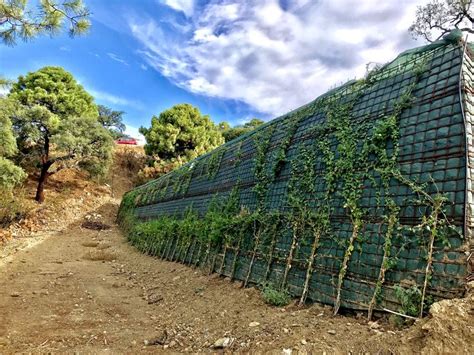 Muro ecológico con plantación de madre selva Muros Diseños de