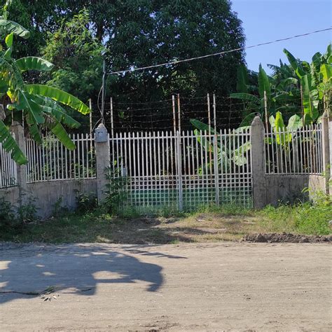 1560 Sqm Residential Farm For Sale In Mangaldan Pangasinan Lot 🚜