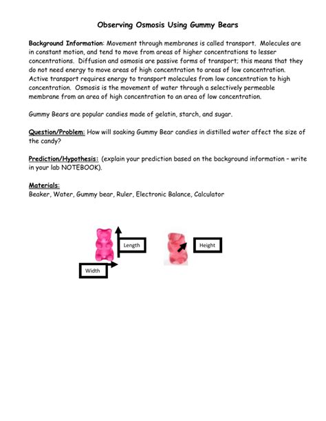 Observing Osmosis Using Gummy Bears