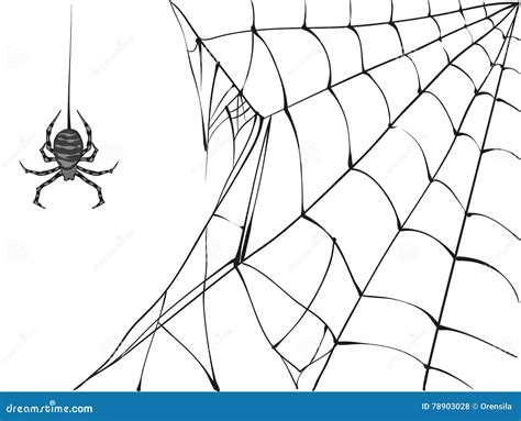 Spiders Clipart Black And White