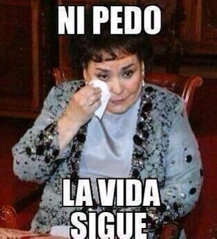 Los Mejores Memes De Carmen Salinas