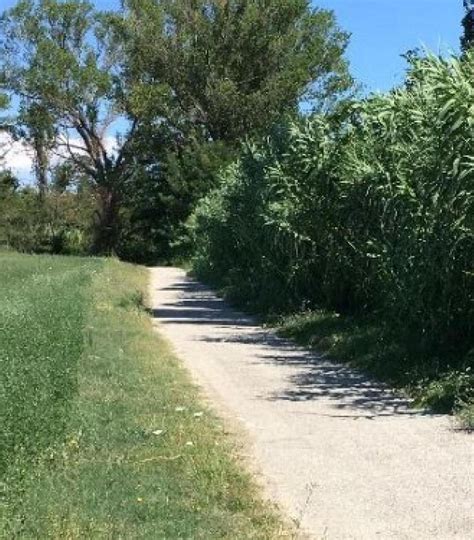 Pista Ciclabile Via Ai Lavori Su Manto Stradale E Illuminazione