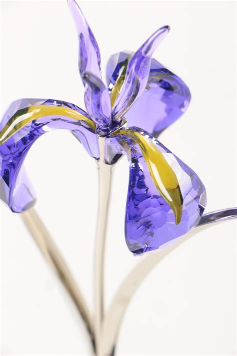 Swarovski "Exotic Flowers-Crystal Paradise" Damboa Blue Violet Crystal Figurine | EBTH