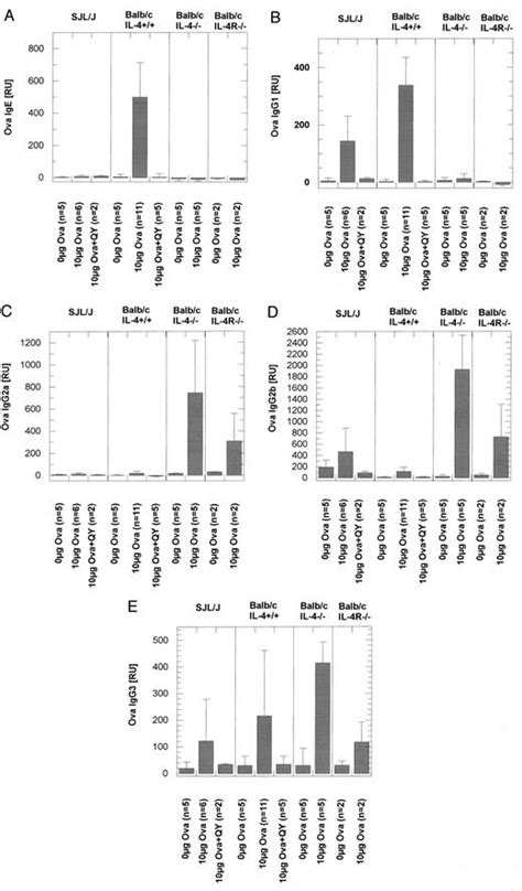 An Antagonistic Il 4 Mutant Prevents Type I Allergy In The Mouse