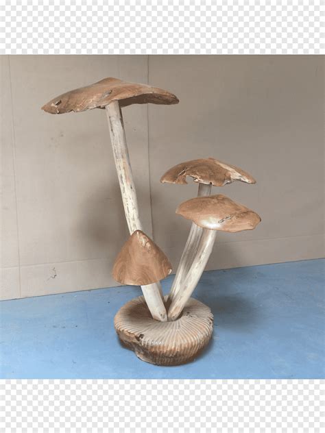 M Vt Mushroom Wood Product Design Mushroom Wood Color Mushrooms