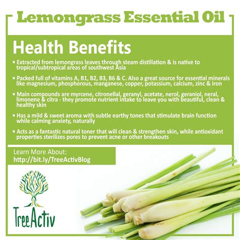 Lemongrass Essential Oil Essential Oils Health Benefits Lemon Grass Essential Oils Health