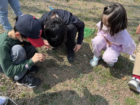 도시숲 어린이 생태학교 19기 1강 4 9 대전충남생명의숲