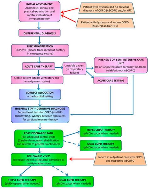 JCM Free Full Text Implementation Of The Care Bundle For The