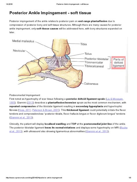 Posterior Ankle Impingement Soft Tissue Rayner And Smale Pdf Pdf