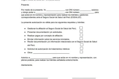 ᐅ Carta Poder para Subsidios Essalud Modelo 2024