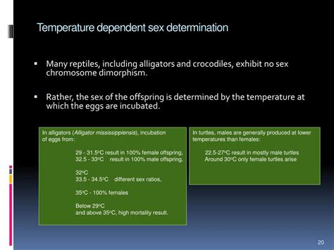 Ppt Anp502 Reproductive Physiology Of Farm Animals Powerpoint