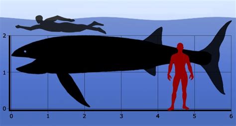 Documentalium Peces Prehist Ricos Gigantescos Fascinantes Y Aterradores